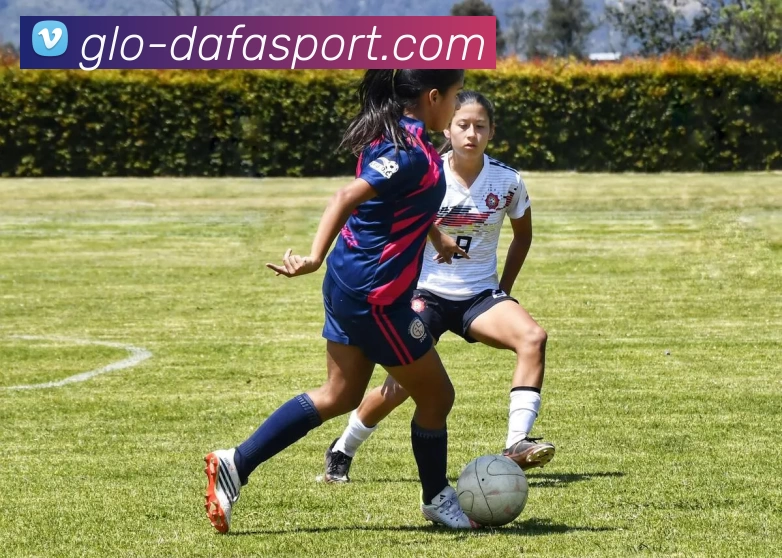 大发集团发展历程